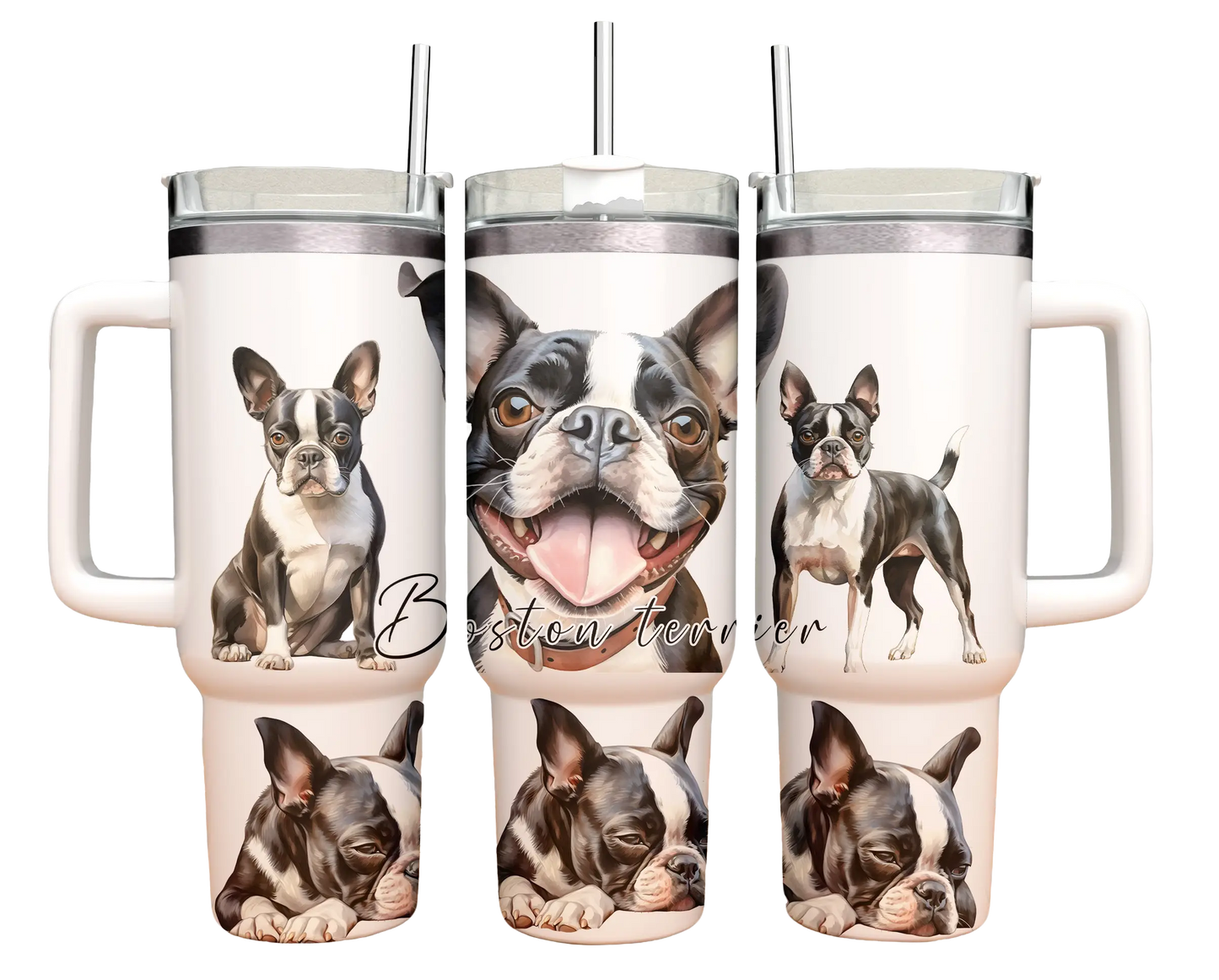 40oz Tumbler - Boston Terrier