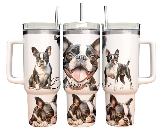 40oz Tumbler - Boston Terrier