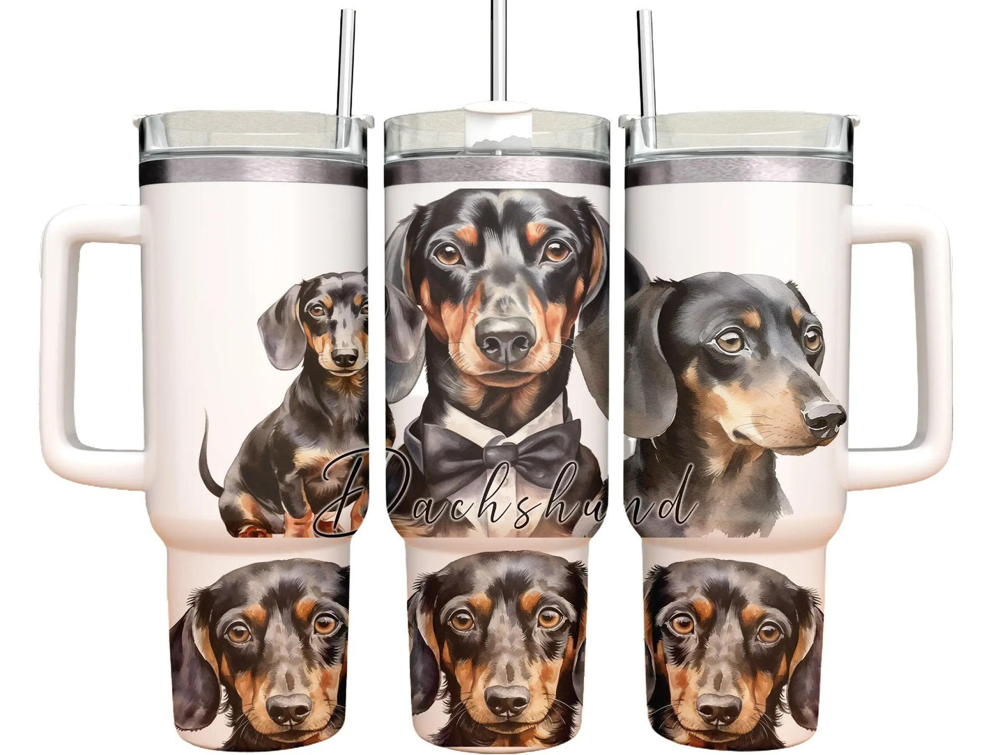 40oz Tumbler - Dachshund -dog design