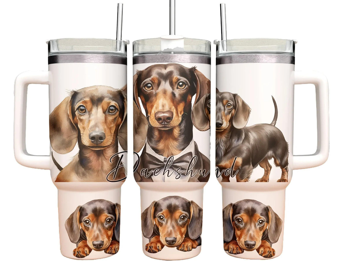 40oz Tumbler - Dachshund -dog design