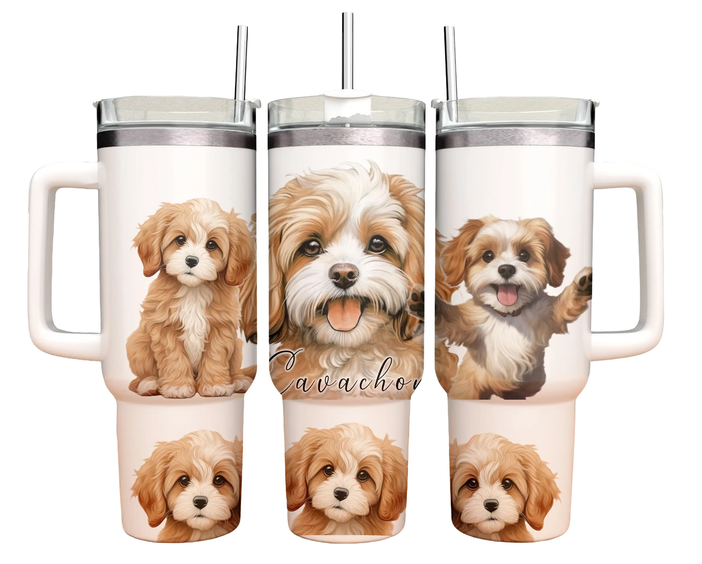 40oz Tumbler - Cavachon