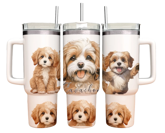 40oz Tumbler - Cavachon