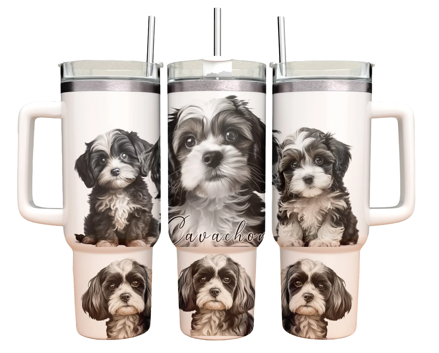 40oz Tumbler - Cavachon -Black & White