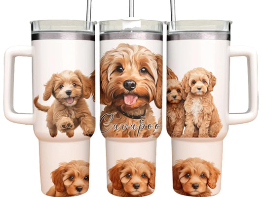 40oz Tumbler - Cavapoo - Dog