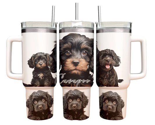 40oz Tumbler - Black Cavapoo