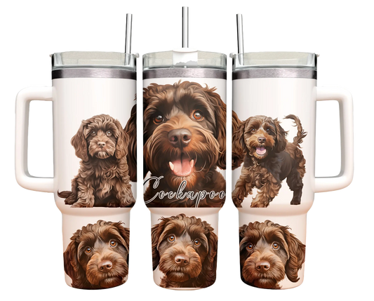 40oz Tumbler - Brown Cockapoo