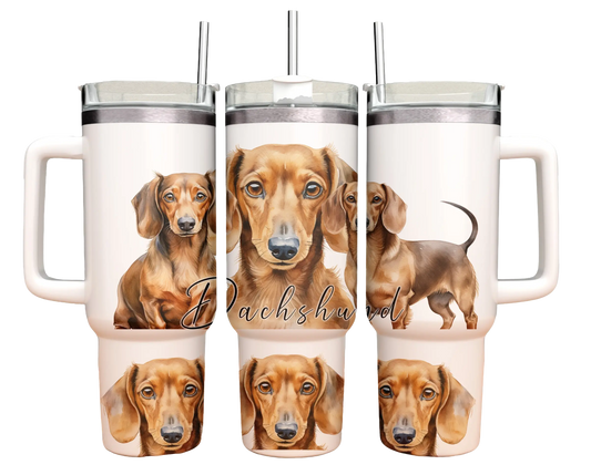 40oz Tumbler - Dachshund -dog design