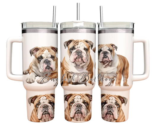 40oz Tumbler - English Bulldog