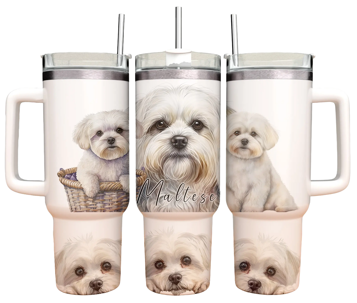 40oz Tumbler - Maltese - Dog