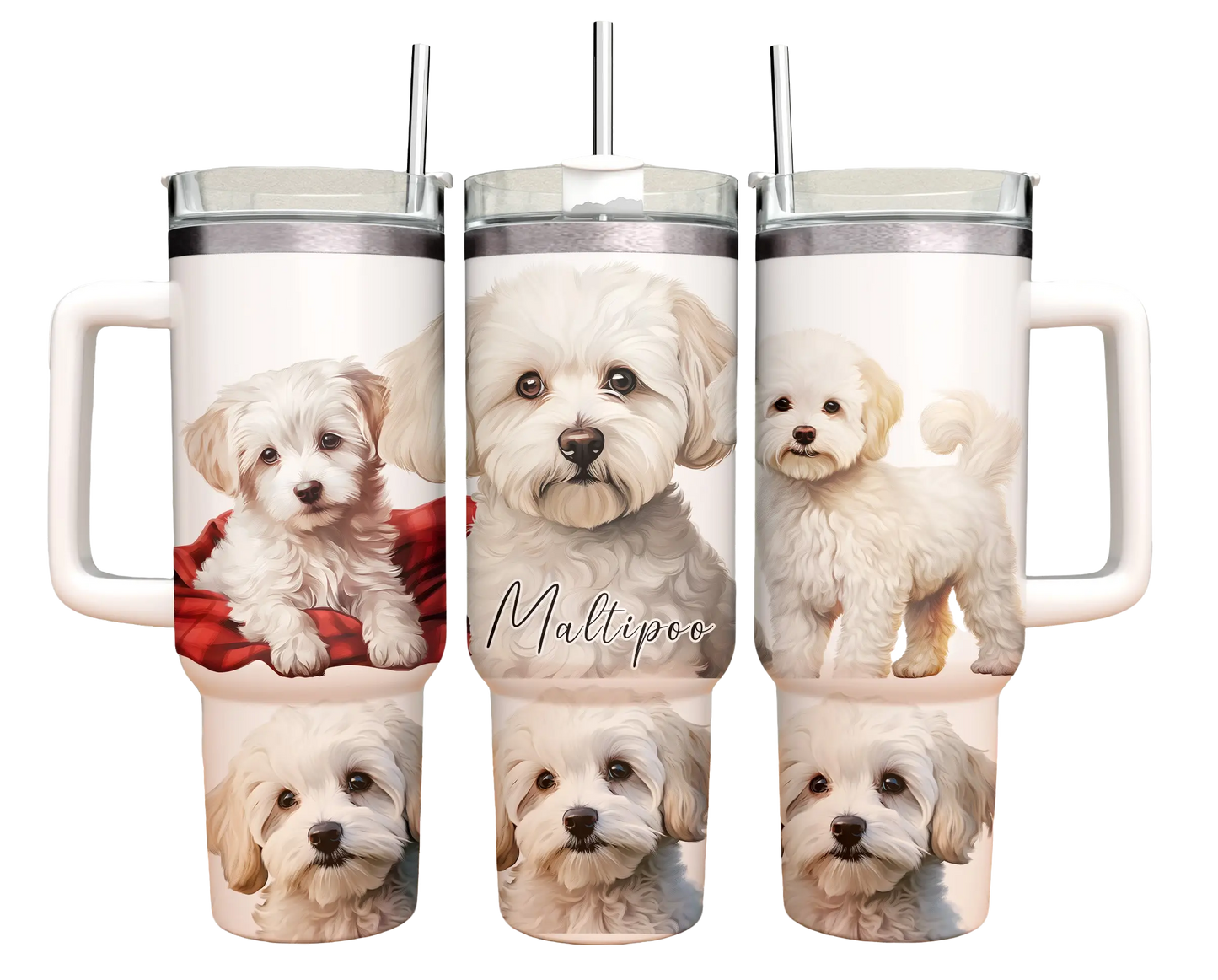 40oz Tumbler - Maltipoo