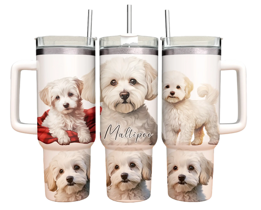 40oz Tumbler - Maltipoo