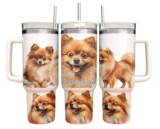 40oz Tumbler - Pomeranian