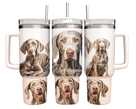 40oz Tumbler - Weimaraner